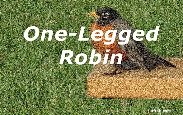 One-Legged Robin